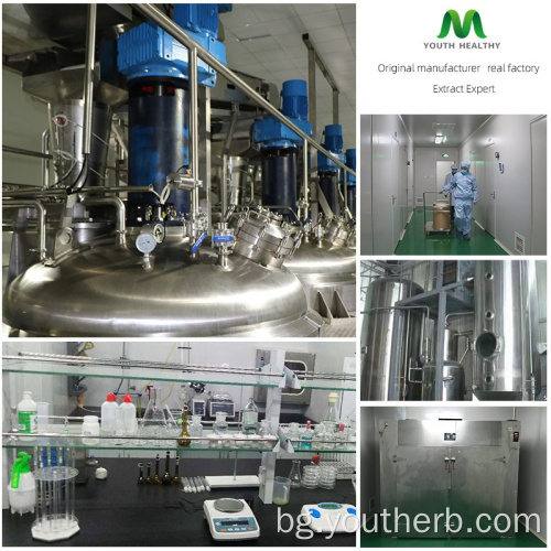 10% с ватанолиди ашвагандха корен екстракт прах